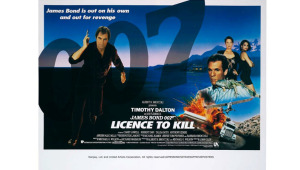 licencetokill